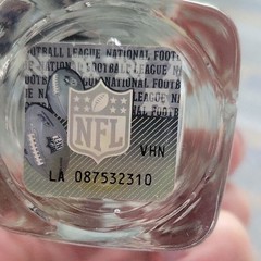 NFL Clear Shot Glass with Black and Gray Logo