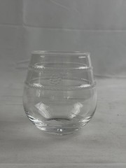 Juliska Isabella Acrylic Stemless Wine Glass New Shatterproof Drinkware