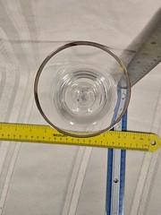 Sheffield by Fostoria (Platinum Trim) 6 3/4″ Crystal Wine Glass