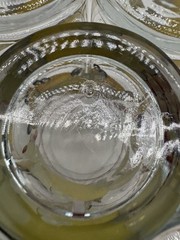 7-Corelle Coordinates Abundance Pattern Juice Glasses Crisa 6 Ounce