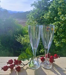Bohemia Crystal Champagne Flutes Hand Cut «VICTORIA» Collection Set of 2
