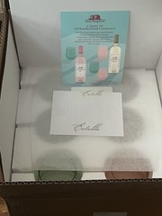 Estelle Colored Glass Signed Hand-blown Stemless Wine Set Of 6 Brand New In Box