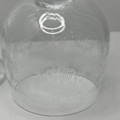 Cristal D’Arques-Durand «Dampierre» Bohemia Crystal Etched Goblet Set 2