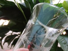 4 Clear Cut Strawflower Green Footed 13oz Tumbler Unknown Maker (UNK5504) VGUC