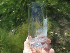 Artist Signed Etched Glass African Cheetah Tumbler Kari Kenya Excellent