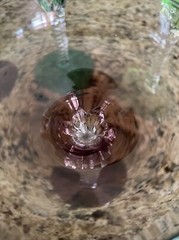 Champagne Sherbet Glasses in Jewel tone Colors with Icicle Twist Clear Stem (7)