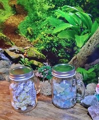 Set of 2 Mini Me Glass Mason Jar Mugs Clear with Handles / screw on Lid H = 3 in