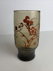 6 Vintage Smokey Brown Drinking Glasses Retro Birds & Flowers MCM, Boho, 70’s