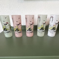 Set of 5 Frosted Glass Tumbler Lady Theme Decorative Pastel Pink Green White