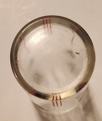 Black Rooster Glass Tumbler