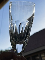 ROYALES DE CHAMPAGNE CRYSTAL CLEAR GLASS VERSAILLES WINE GLASSES HARD TO FIND