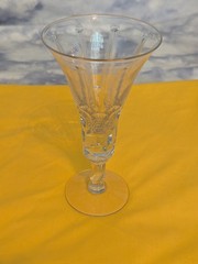 Vintage Royal Fern Glass Water Goblet with Twist Stem by Libbey Glass Company