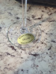 Vintage Cellini Blown Crystal Cordial Hand Decorated Glass (1)