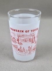 VTG Federal Glass Frosted Fountain of Youth StAugustine Florida Souvenir Tumbler