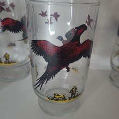 Vintage Hazel Atlas Glasses Set Of 7 Hunting Bird Dog Pheasant Drinking Glass