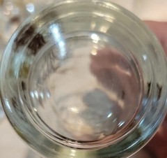 11-Vintage Clear Glasses/Barware Golden Wheat Design Country farmhouse Falldeco