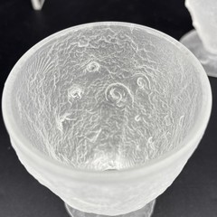 Christina Salusti Fossilglass 5 oz 5 1/2″ Footed Tumbler Frosted Glass