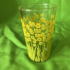 Jane Lynn Style Daffodil Garden 4.5” Retro Glasses Complete Set Of 8 VTG 70s MCM