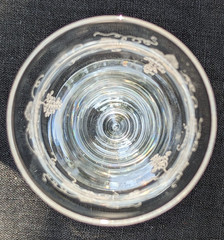 ANTIQUE FOSTORIA NEW VINTAGE GRAPE ETCH #227 STEM 858 5 1/2″ PARFAIT/CHAMPAGNE