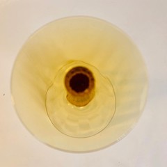 Tiffin-Franciscan Julia Optic Panel Amber Stem Water Goblet Art Deco 7 7/8″