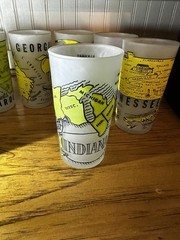 Vintage Frosted State Glass Set Florida Pitcher & 8 Tumblers MCM