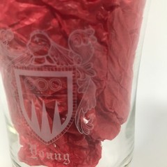 YOUNG Etched Coat Of Arms Family Crest 6.75in X 3.25in Wine Glass Water Goblet