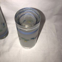 Floral Expressions Frosted Set of Two 16 oz. Glass Tumblers, By Hearthside