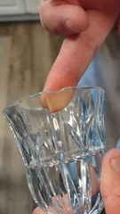 Tulip Garden Lead Chrystal Bar Ware by Blcok