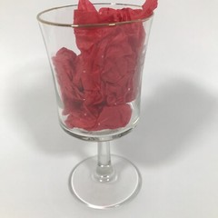 YOUNG Etched Coat Of Arms Family Crest 6.75in X 3.25in Wine Glass Water Goblet