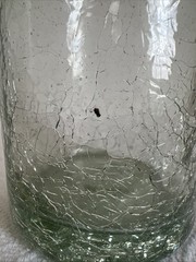 Amici Home Crackle Highball Glass 16oz Mexico Bug Inclusion Factory Defect Rare
