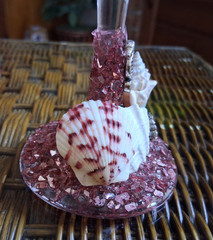 Martini Glasses set of 2- Hand decorated with Seashells, Silver Seahorse