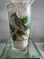 Vintage Song Birds Tumblers Lemonade Pitcher Tumbler Set West Virginia Glass MCM