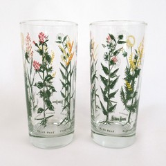Pair Neiman Marcus weed wildflower drinking glasses clear tall flower botanical
