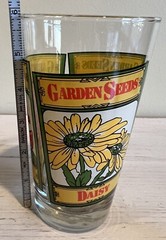 VTG LIBBEY Garden Seeds Flower Glasses Daisy Petunia Phlox SET OF 2 RARE