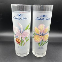 Set Of 2 Tom Collins Highball Glass Botanical Garden Flower Celebrity Cruises