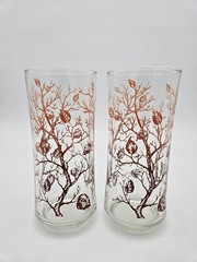 Libbey Autumn Tree Clear Highball Glasses 1970’s Ombré Tones 6.5” Set of 2