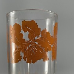 Vintage MCM Clear Juice or Water Glass With Orange Irises & White Fence