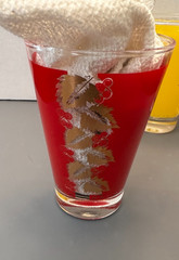 Vintage Bartlett-Collins MCM Red & Yellow Gold Grape Leaf Glass Tumblers Set 4
