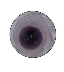 Vintage Fosteria Exeter Amethyst Purple Wine Glass