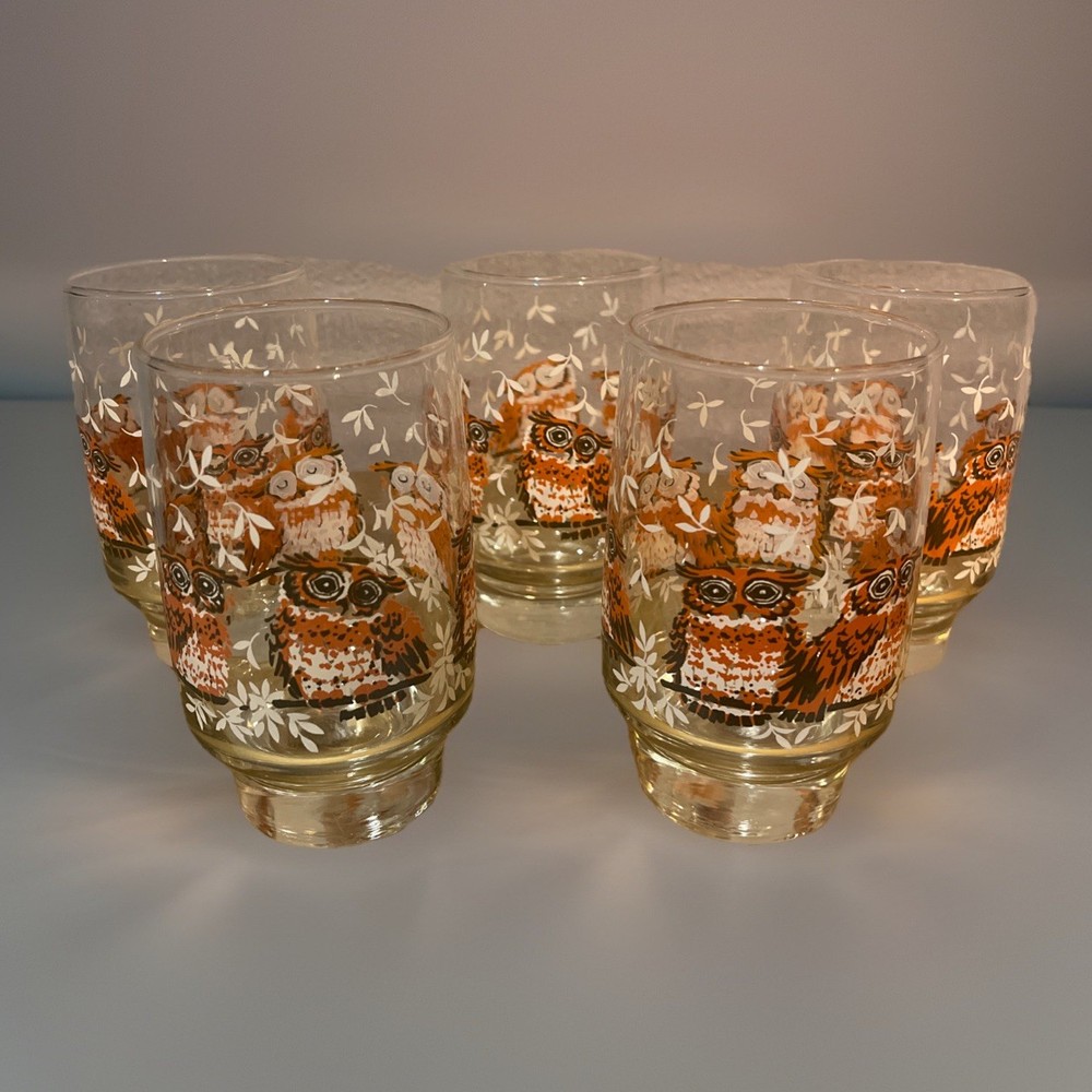 Vtg Set/5 Libbey Clear Drinking Glasses With Orange/Brown/White Painted Owls 5”