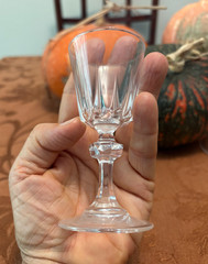 Fancy Shot glasses! 6 Vintage Princess House Esprit Crystal Cordial Glasses