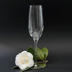 Tiffany & Co. Crystal Champagne Flute Classic U-Shape Signed 9 5/8″ EUC