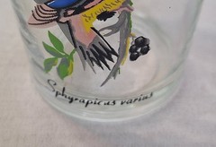 Vintage Swanky Swigs Malaysia Tropical Bird Glass 4″ Inch