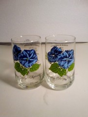 2 Morning Glory Flower of September Clear Glass Drinking Glass 5 fl oz Floral
