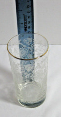 Libbey Icy Lace Garden Flower Frosted Highball Tumblers Glasses 5 3/8 » Blown