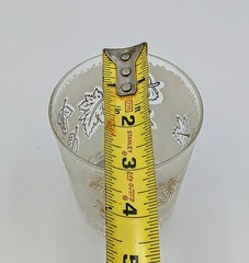 Vintage Frosted Leaf Pattern Rocks Glasses Set of 4 Gold White