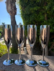 Elegant Champagne Flutes Silver Mirrored Coated Glass Wedding Toasting Set of 4