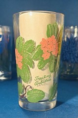 VTG Set of ✨12 ✨Boscul Peanut Butter Glasses MCM Floral Tumblers UNUSED MINT