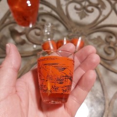 Vintage MCM Asian Style Sake Set for 4 Luminarc France