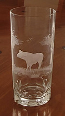 Queen Lace Crystal Kenyan African Buffalo 5.5″ Highball Tumbler Glass